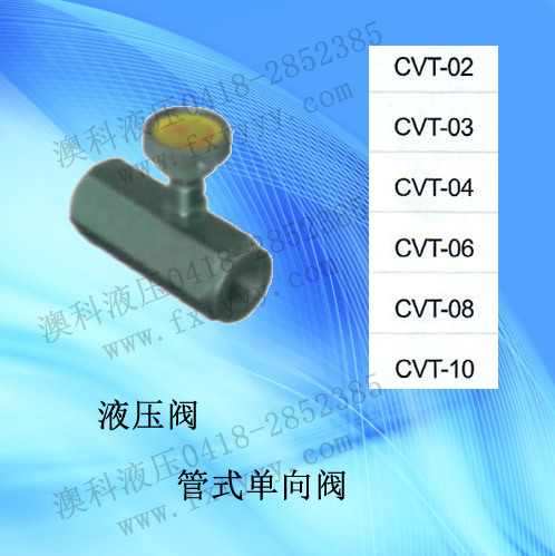 管式單向閥CVT